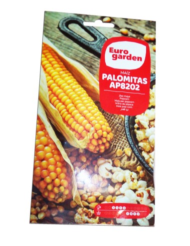 FITO AP8202 Popcorn Corn Seeds 8 g