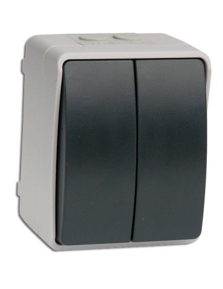 Interrupteur double mural superficiel 10/16A 250V