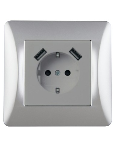 Titanium Onlex Base Socket with 2USB Frame
