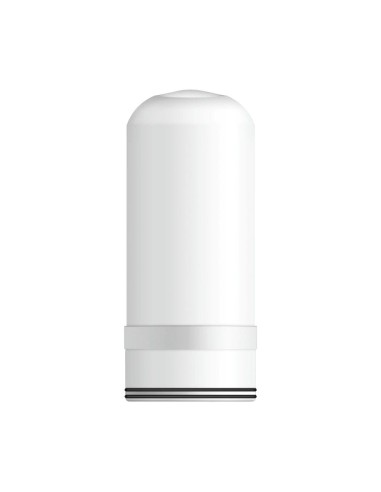 Ceramic Diatomaceous Earth Filter with Activated Carbon