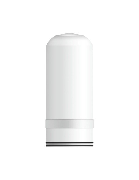Ceramic Diatomaceous Earth Filter with Activated Carbon