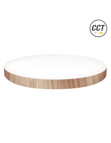Round LED Ceiling Surface Nordic 300mm 24W CCT