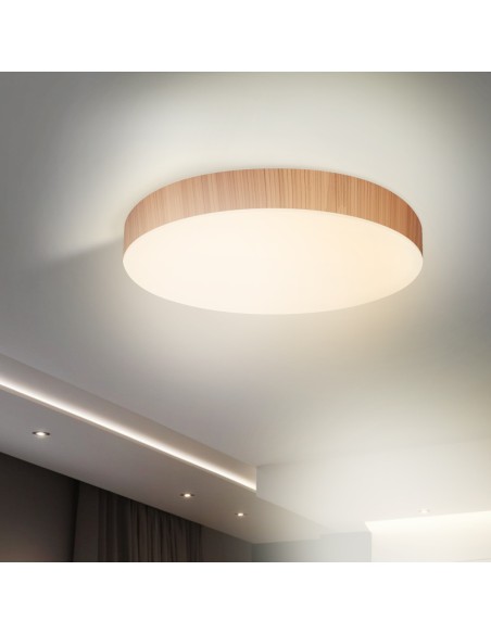 Round LED Ceiling Surface Nordic 300mm 24W CCT