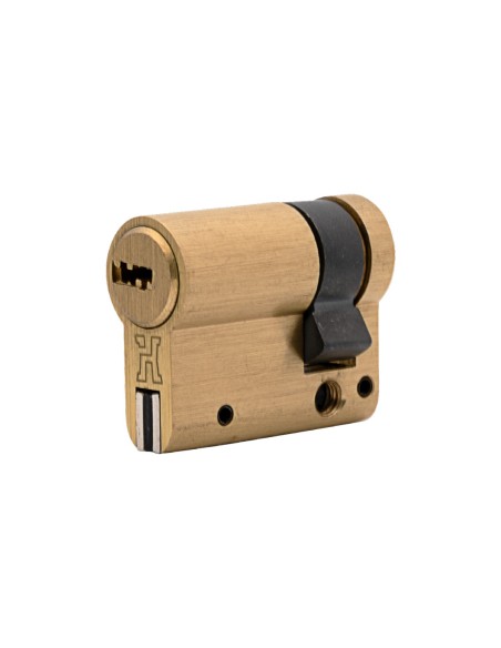 R15 Brass Security Cylinder 30x10 with 10 Pins