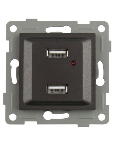 Onlex Double USB Graphite 16A 250V