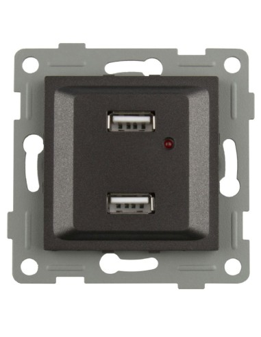 Onlex Double USB Graphite 16A 250V