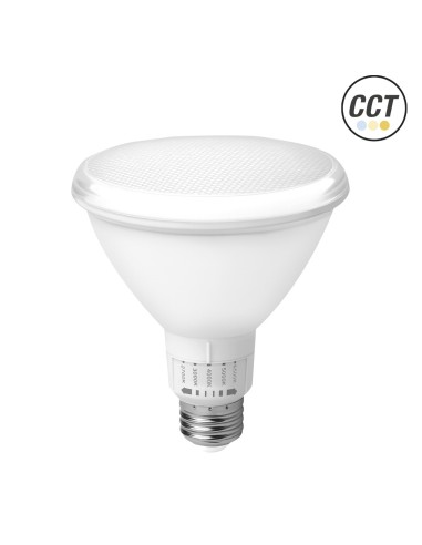 Ampoule LED PAR 38 Mate IP65 E27 15W 5CCT