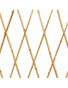 Celosía de bambú extensible 90 x 240 cm