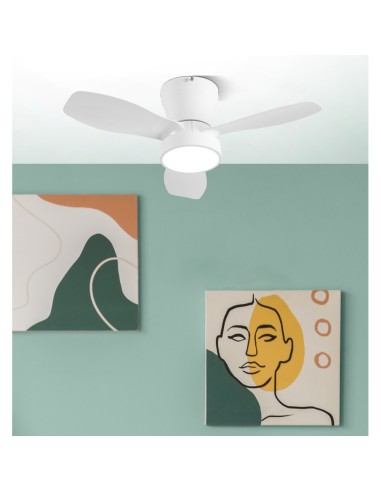 Ventilatore da soffitto Piton 62 cm Bianco con LED integrato 24W e telecomando