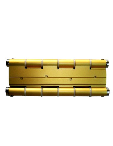 JUSTOR 59 Gold Double Action Hinge Set of 2 Units 5914.02