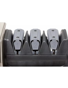 Replacement module for electric sharpener IFA 2100