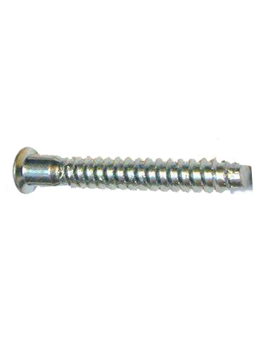 Allen Assembly Screw 7x50 Galvanized