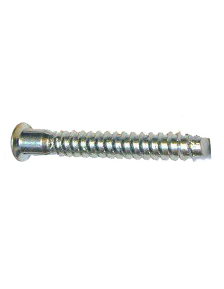 Allen Assembly Screw 7x50 Galvanized