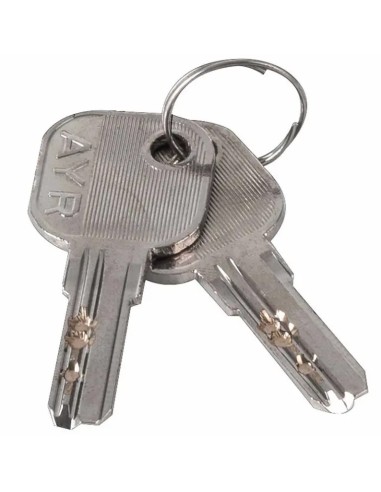 Rough key for cylinder lock Close 103-LL Ayr