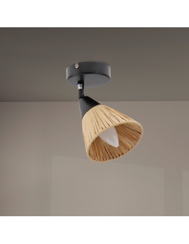 Cortijo Series Ceiling Lamp 1 Bulb E14 M LEDME