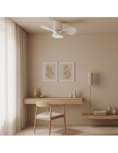 Ventilatore da soffitto LED Nature DC con timer e telecomando