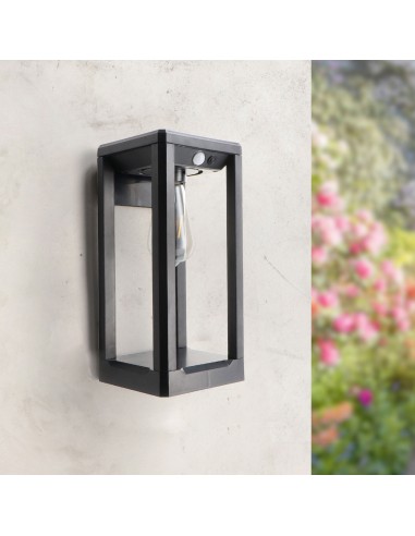 Aplique LED Solar Delhi Plus 2700K 150lm iSG Lighting