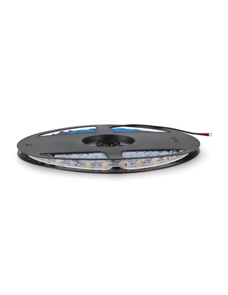 Nastro LED 12V SMD Flexilight IP44 Rosso 60 LEDs/m 20m