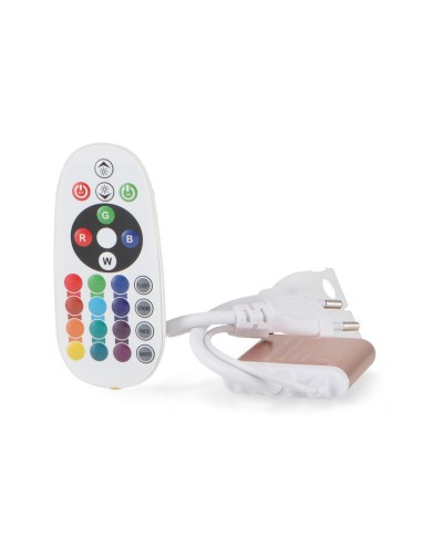 Controller RGB Fast 220V con Telecomando per Strisce LED