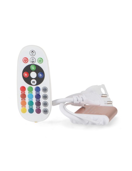 Controller RGB Fast 220V con Telecomando per Strisce LED