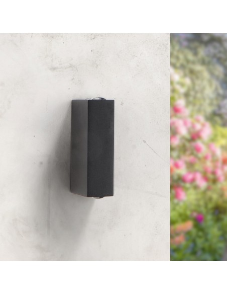 LED Wall Light Falcon 6W 3000K