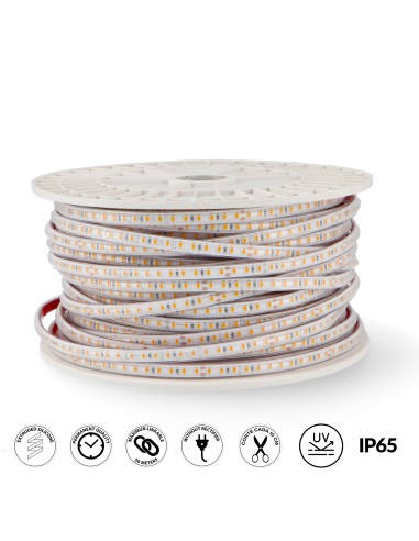 Câble adaptateur pour bande LED 220Vac Prostrip