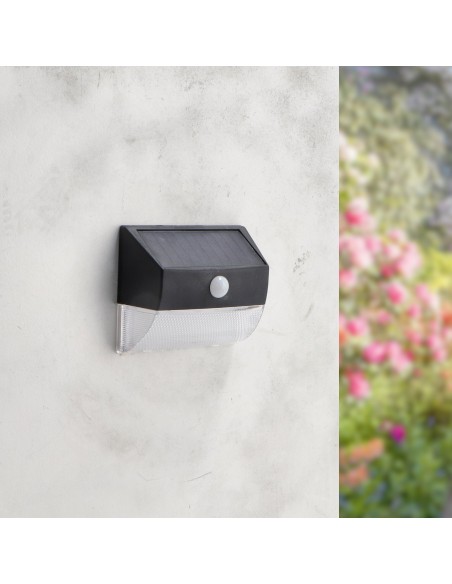 Venus Solar LED Wall Light with Motion Sensor Pack 4 6W 6500K