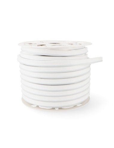 Controller RF per strisce LED RGBW 4x1A 220V