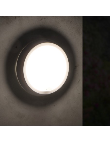 LED Sphere Wall Light with Motion Sensor 12W IP54