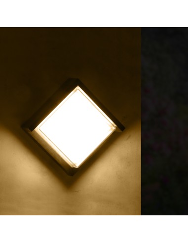 LED Wall Light M LEDME 12W IP65 3CCT