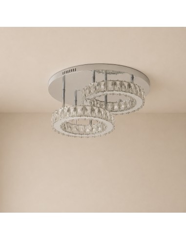 LED Jump Dsc 40W Decorative Ceiling Light with Remote Control