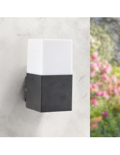 Wall light design steel PMMA e27 40w ip54
