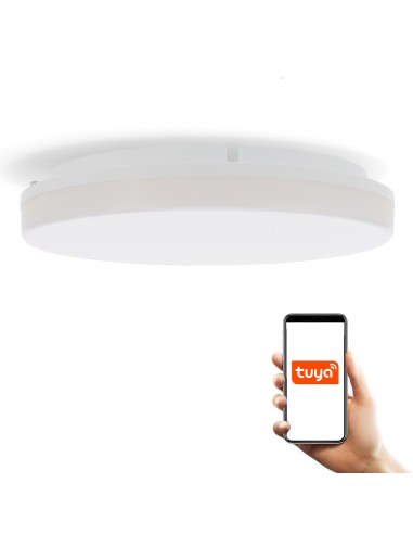Smarthome 24W RGB WiFi Dimmable CCT LED Ceiling Light