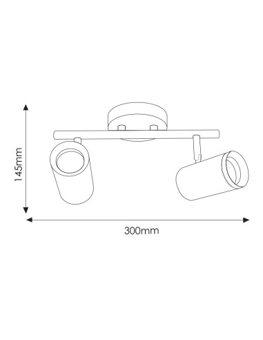 Country Ceiling Light GU10 2 Spot Dsc
