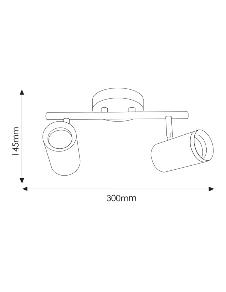 Country Ceiling Light GU10 2 Spot Dsc