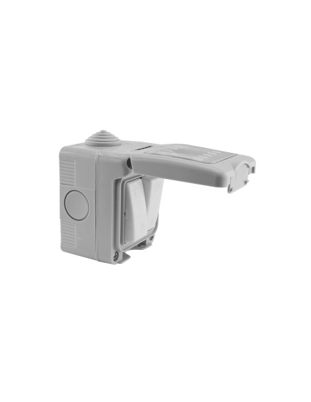 Double interrupteur étanche KRANG IP55 10A gris clair