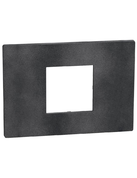Plaque Light Now 2 modules centrés noir mat