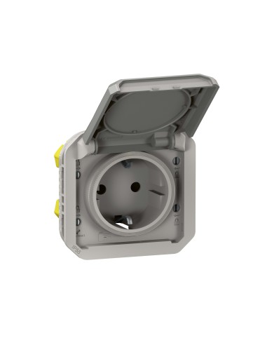 Base de corrente modular Plexo IP55 2P+T 16A cinza con protección infantil