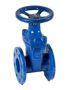 Gate Valve 2.1/2" Ductile Iron PN16 Fixed Stem