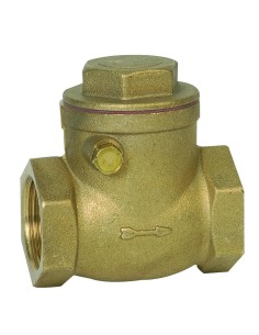 2" Brass Check Valve PN10