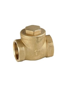 3/4" Brass Threaded Flap Check Valve