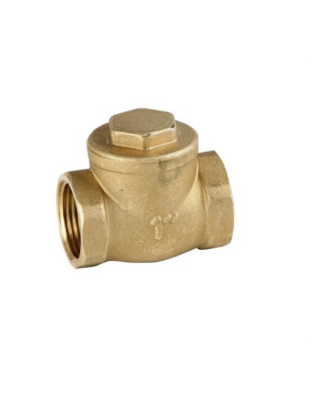 3/4" Brass Threaded Flap Check Valve