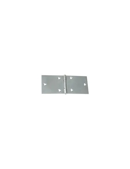 Scatola 24 cerniere 814 2" zincata