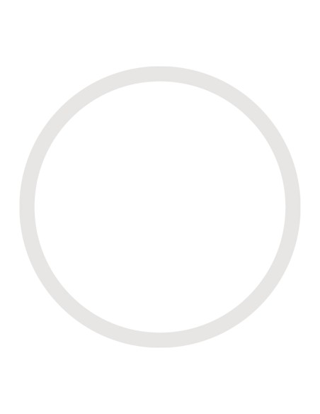 Faretto LED Downlight 15 W 4000K Prolitech