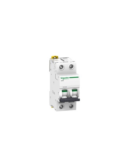 Magnetotérmico Acti9 iC60H 2P 20 A curva C