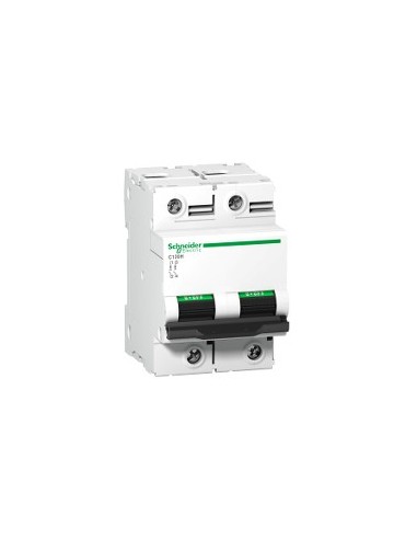 Interruttore automatico Acti9 C120H 2P 100 A curva B