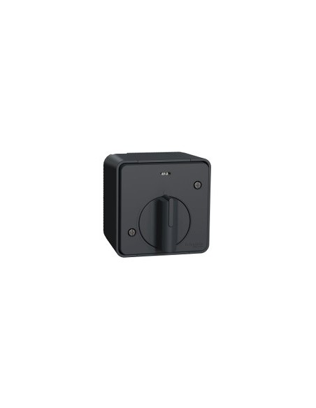 Interruptor estanco temporizado IP55 gris 2-14 min