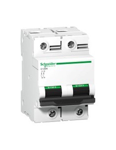 Interruptor automático Acti9 C120N 2P 63 A curva B