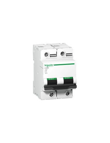 Interruttore automatico Acti9 C120N 2P 63 A curva B