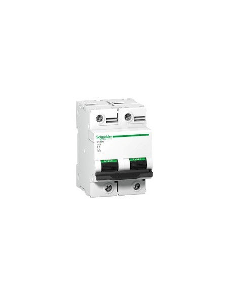 Acti9 C120N 2P 63 A B Curve Automatic Switch